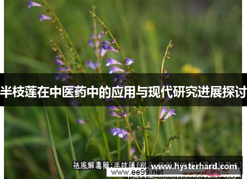 半枝莲在中医药中的应用与现代研究进展探讨