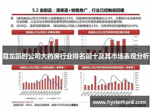 尊龙凯时公司大药房行业排名前十及其市场表现分析